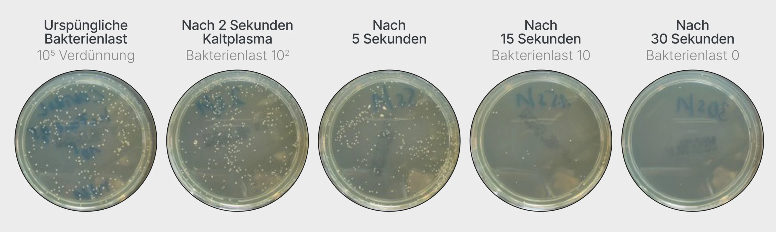 Die Wirkung von Kaltplasma auf MRSA Bakterien