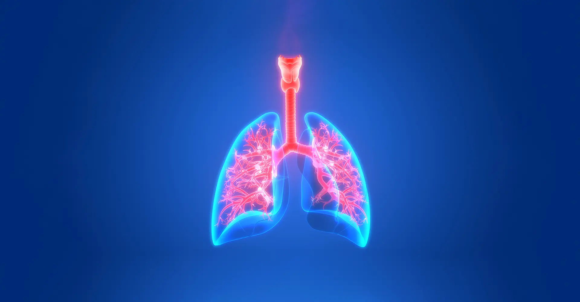 Background Grafik Lunge