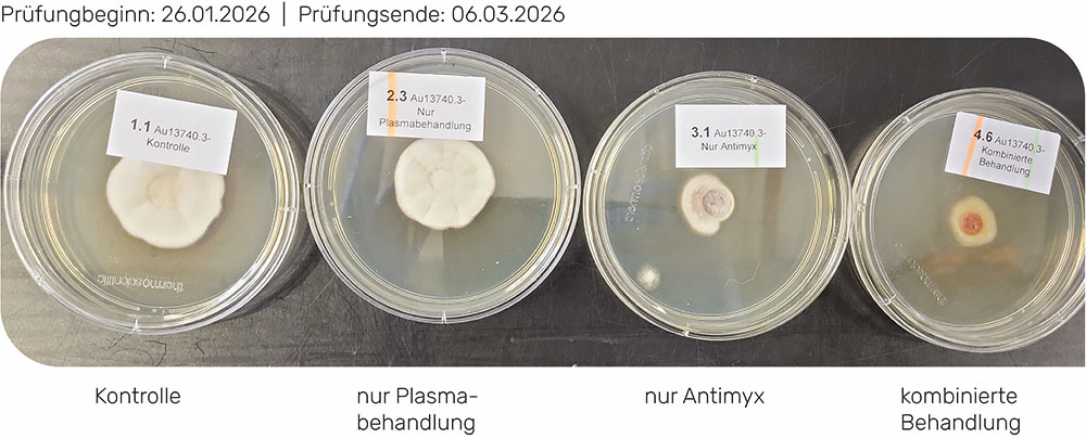 Prüfungsergebnis